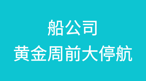 保运价！船公司宣布黄金周前大停航