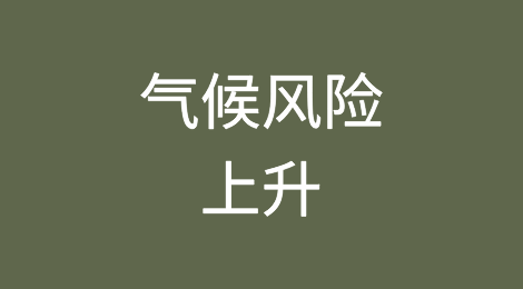 惠誉称气候风险上升，猪肉生产商评级面临下调