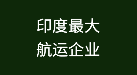 印度最大航运企业考虑进军集装箱运输领域