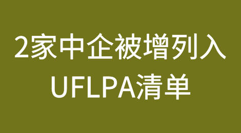 美国国土安全部将2家中企增列入UFLPA清单