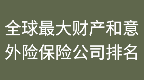 2024年全球最大的财产和意外险保险公司排名