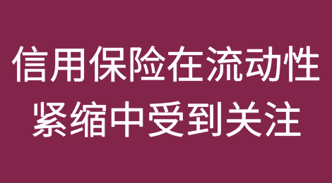 信用保险在流动性紧缩中受到关注