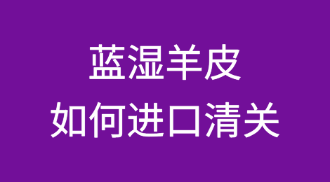 蓝湿羊皮如何进口清关？