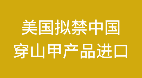 美国政府征求意见：拟对中国穿山甲产品实施进口禁令