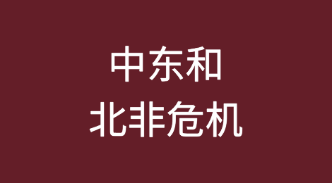 哪些经济体面临中东和北非危机的最大风险？
