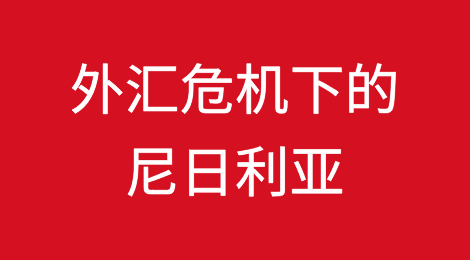 外汇危机下的尼日利亚2024年前7个月外贸支付额锐减57%