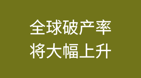 全球破产率将大幅上升，但南非显示出复苏迹象