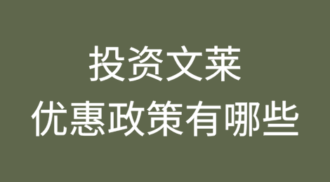 投资文莱，优惠政策有哪些？
