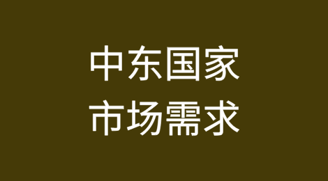 中东国家的市场需求