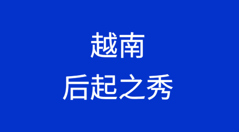 越南成为担保和信用保险市场的后起之秀