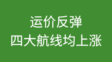 运价反弹！四大航线均上涨，地中海大涨一成