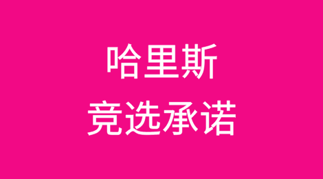 哈里斯竞选活动中所作出的承诺梳理