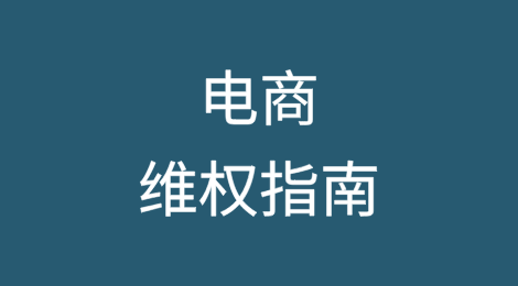 电商维权指南：知识产权保护的细致考量