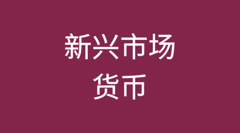 新兴市场货币：特朗普胜选将引发波动和疲软