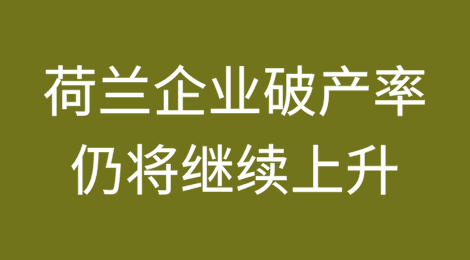 荷兰协会称，荷兰企业破产率目前仍将继续上升