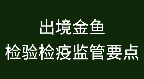 出境金鱼检验检疫监管要点