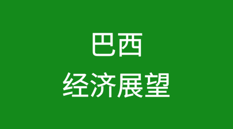 2024年11月巴西经济展望