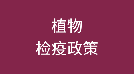 进口缅甸鲜食菠萝植物检疫政策解读