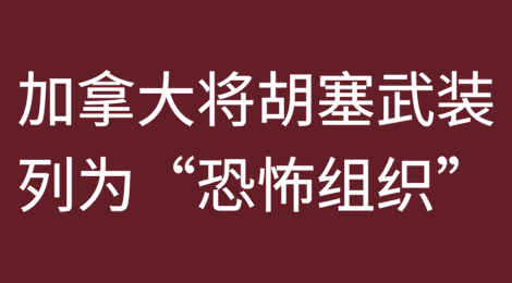 ​加拿大将胡塞武装列为“恐怖组织”