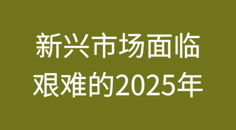 摩根大通：夹在经济巨头之间的新兴市场面临艰难的2025年