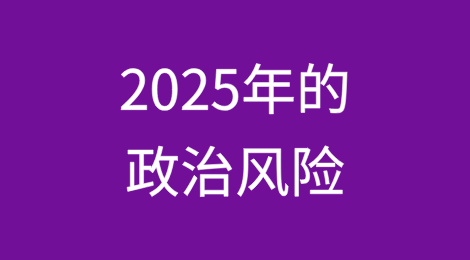 灰色地带的生活：2025年的政治风险（上）