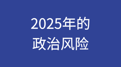 灰色地带的生活：2025年的政治风险（下）