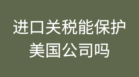 进口关税能保护美国公司吗？