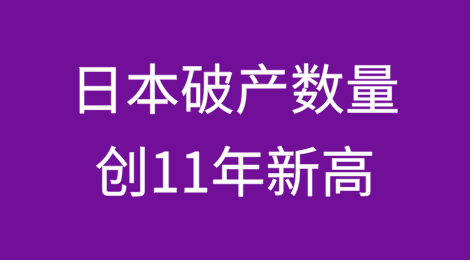 2024 年日本破产数量创 11 年新高
