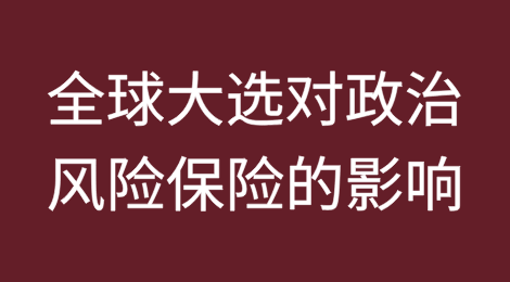2024年全球大选对政治风险保险的影响