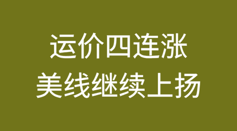 运价四连涨！美线继续上扬