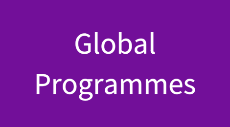 Global Programmes：保险索赔的关键因素是清晰度而非速度