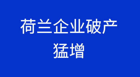 荷兰企业破产在11月份猛增6%之后，又比去年增加了三分之一