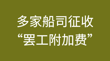 多家船司宣布：征收“罢工附加费”