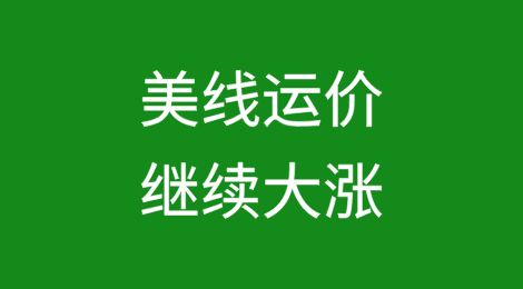运价全线上涨！美线继续大涨