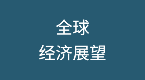 全球经济展望：2024年12月