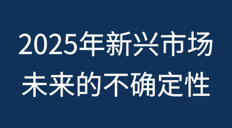 [1/3]2025年新兴市场的关键主题：未来的重大不确定性