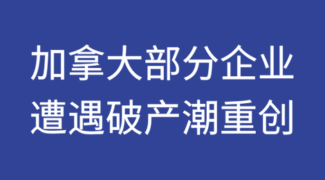 2024年加拿大不列颠哥伦比亚省企业在经济紧缩中遭遇破产潮重创