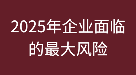 全球政治不稳定是2025年企业面临的最大风险