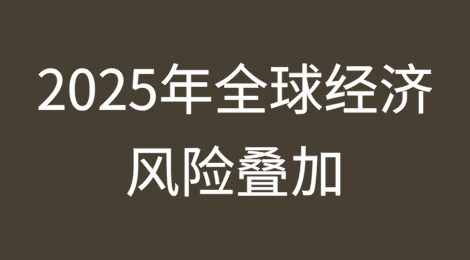 支棱起来！2025年全球经济风险叠加