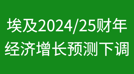 惠誉解决方案公司BMI下调埃及2024/25财年经济增长预测