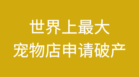 世界上最大的宠物店：德国宠物店现在不得不申请破产