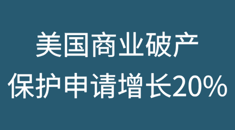 美国商业破产保护申请在2024日历年度增长20%