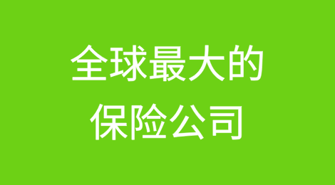 全球最大的保险公司