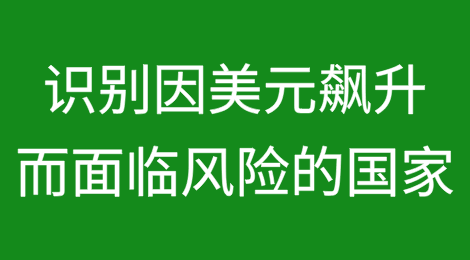 识别因美元飙升而面临风险的国家