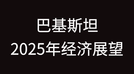 通往稳定的半途：巴基斯坦2025年经济展望