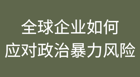 全球企业该如何应对2025年政治暴力的风险