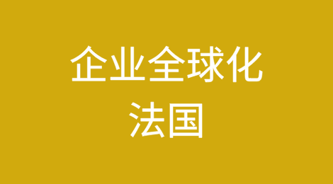 企业全球化之法国