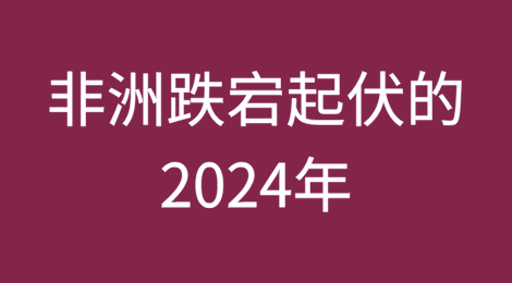 忽上忽下的过山车：非洲跌宕起伏的2024年