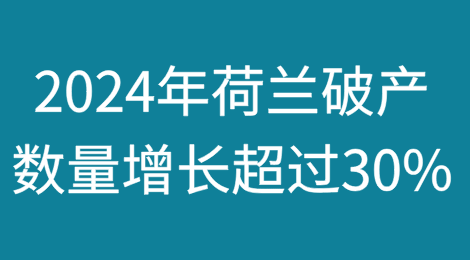 2024年荷兰破产数量增长超过30%