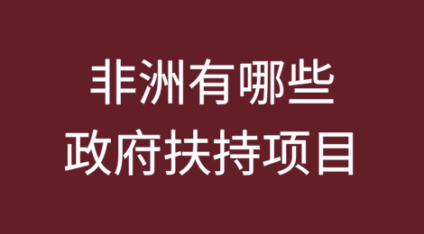 非洲有哪些政府扶持项目？